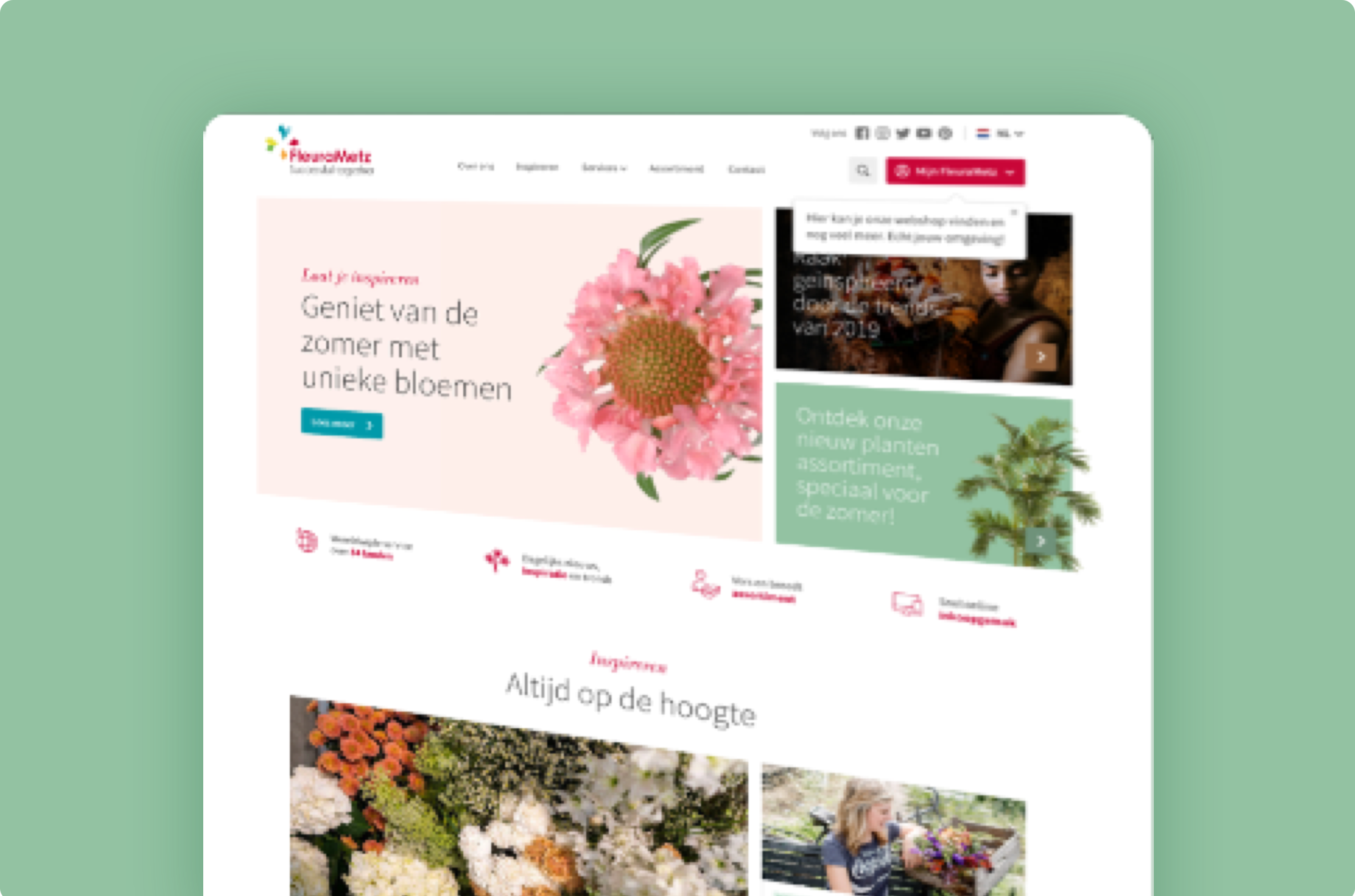 FleuraMetz FleuraMetz